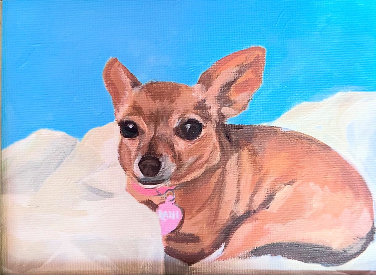 Painted portrait of Rani, a Chihuahua