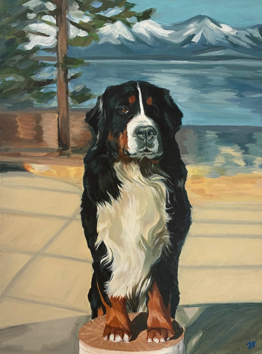 Painted portrait of Bentley, a Bernese Mountain Dog