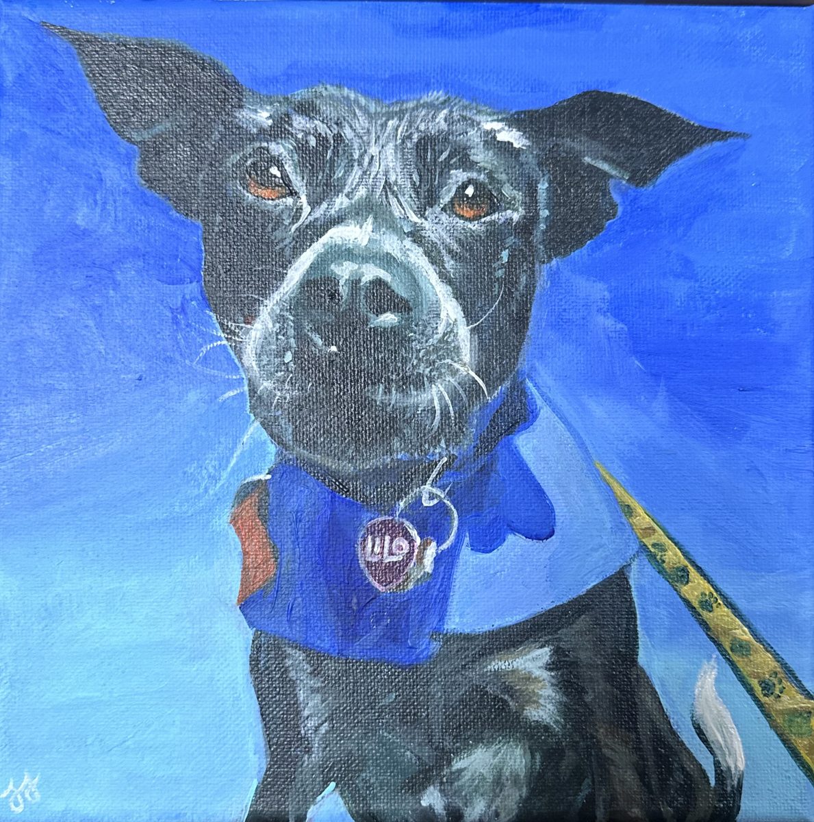 Signature style example: a black dog in a blue bandana against a soft blue painted background